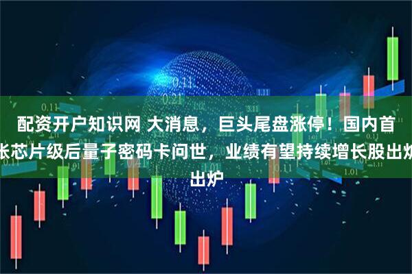 配资开户知识网 大消息，巨头尾盘涨停！国内首张芯片级后量子密码卡问世，业绩有望持续增长股出炉