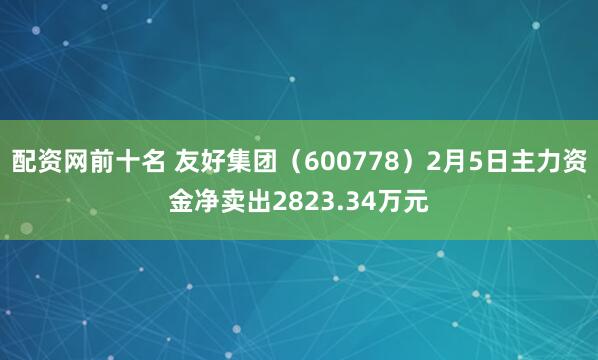 配资网前十名 友好集团（600778）2月5日主力资金净卖出2823.34万元