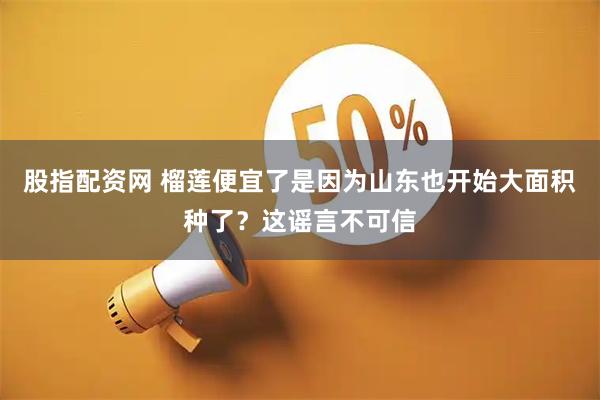 股指配资网 榴莲便宜了是因为山东也开始大面积种了？这谣言不可信